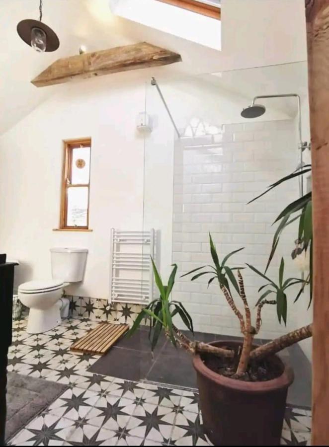 The Carton Store Loft Apt Lägenhet Cork Exteriör bild